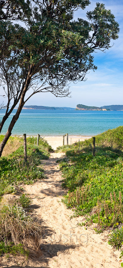 Ettalong Beach CC1256