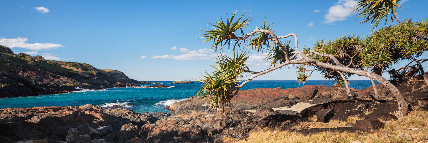 Macauleys Headland COF2440
