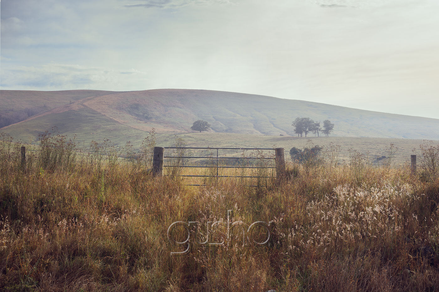 Farm Gate Near Dungog Photo