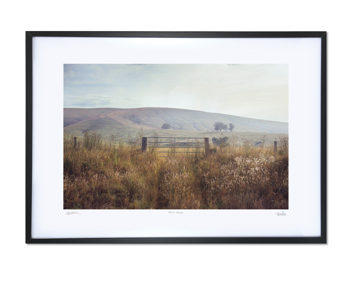 A Gate Near Dungog DU4149