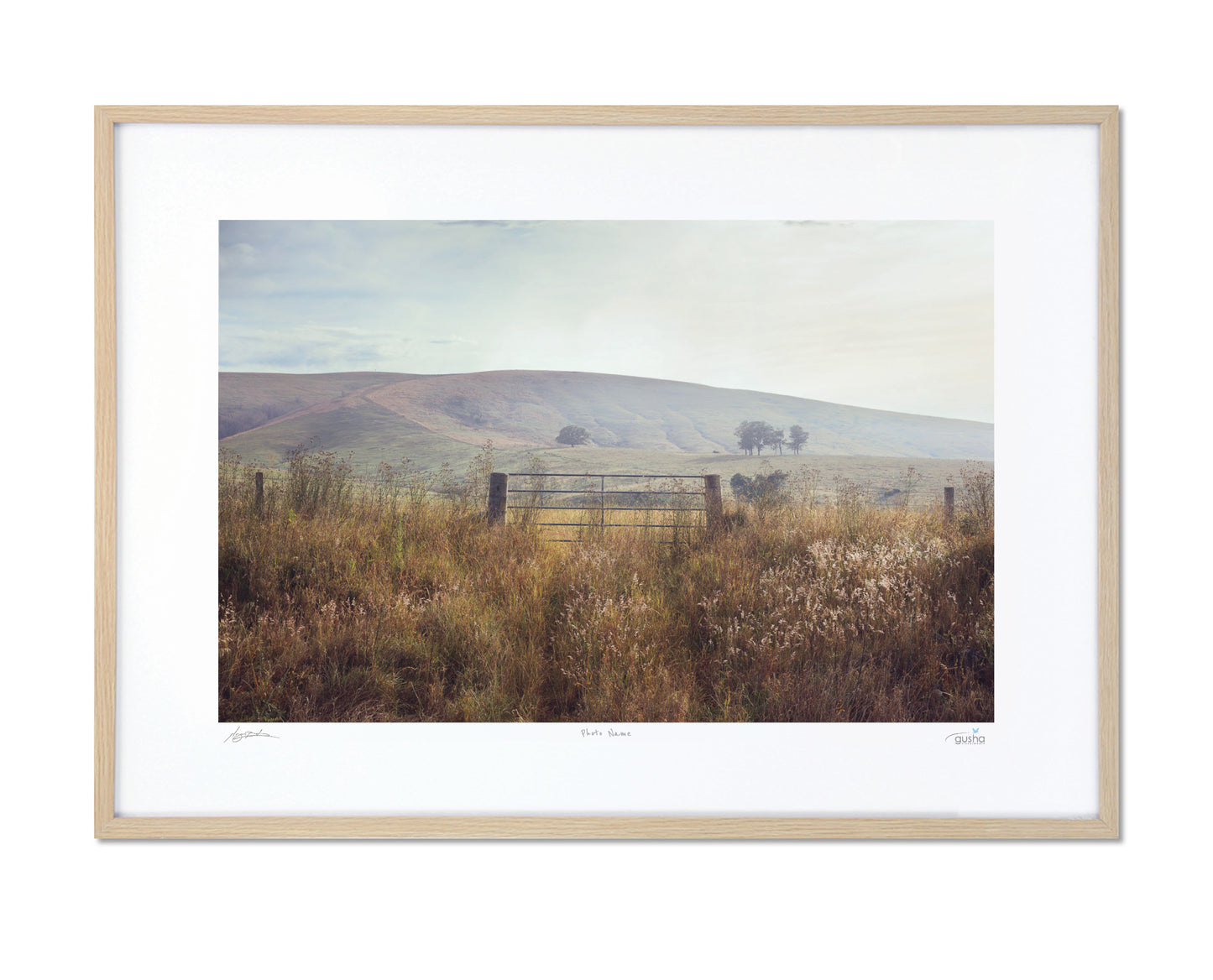 A Gate Near Dungog DU4149