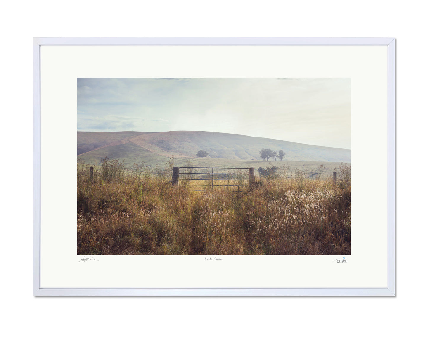 A Gate Near Dungog DU4149