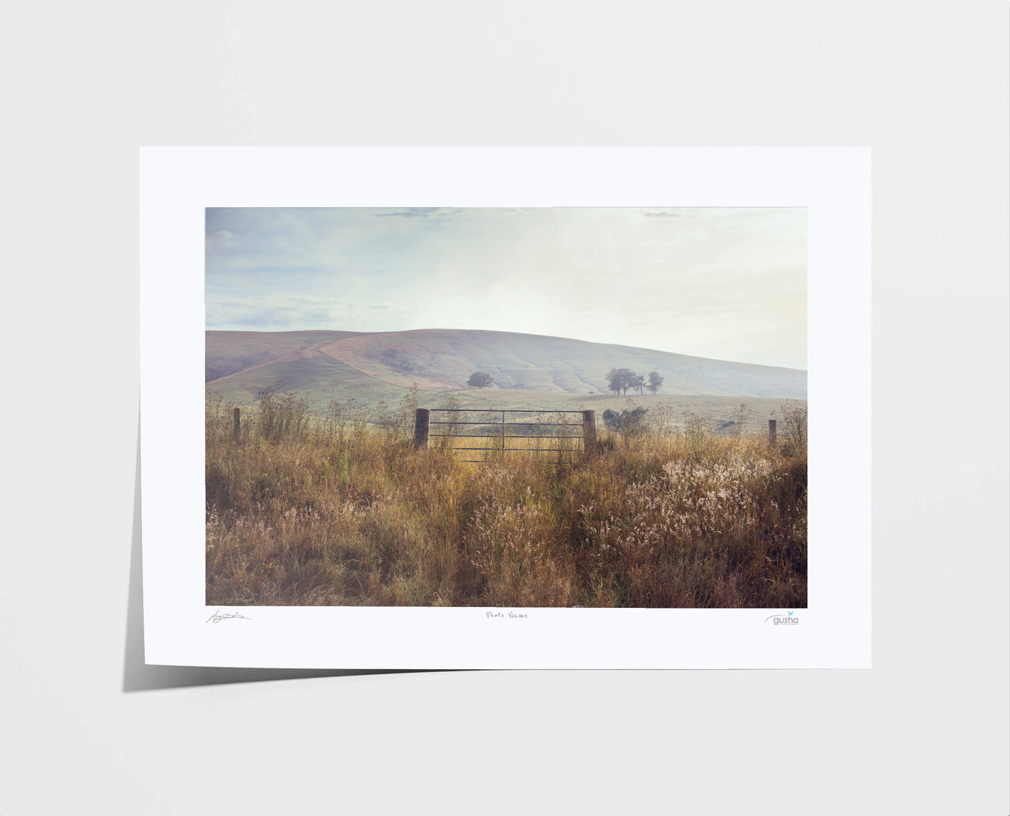 A Gate Near Dungog DU4149