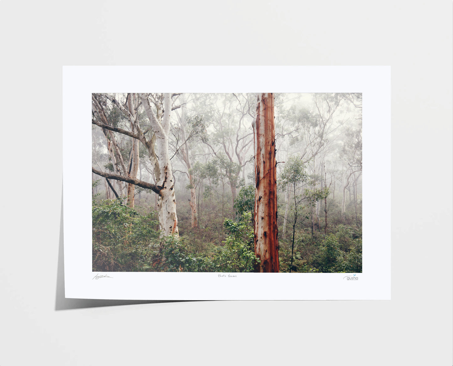 Fernleigh Track NE4174