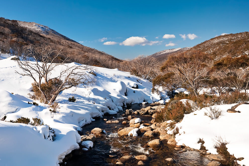 Thredbo River SN2421
