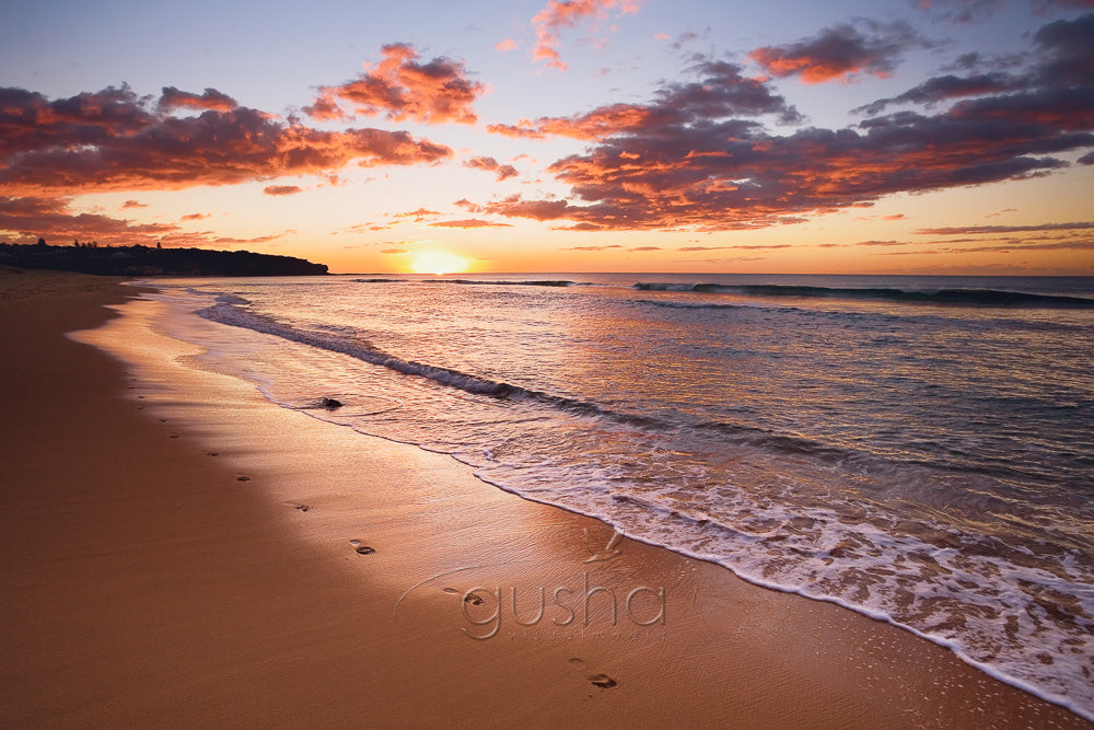 Curl Curl Beach SYD0873