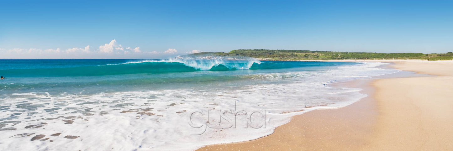 Maroubra Beach SYD1098