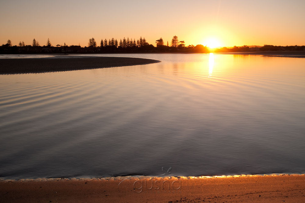 Photo of North Creek BA1804 - Gusha