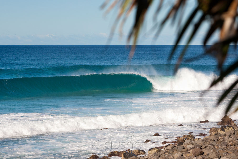 Photo of Lennox Head BA2386 - Gusha