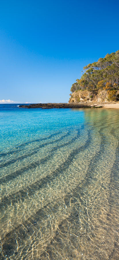 Photo of McKenzies Beach BAT0574 - Gusha