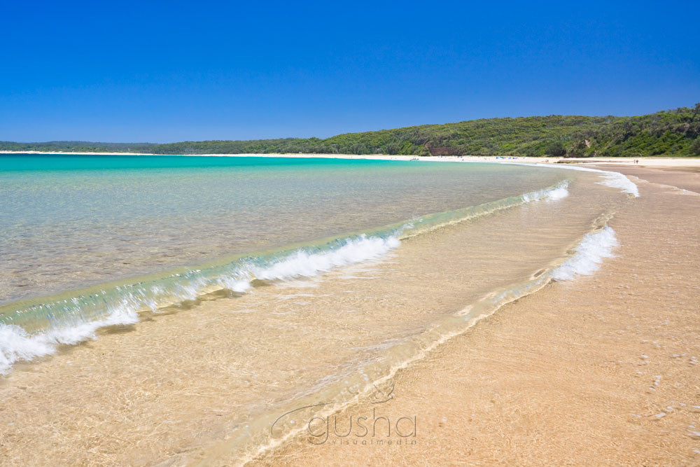 Photo of North Durras BAT1039 - Gusha