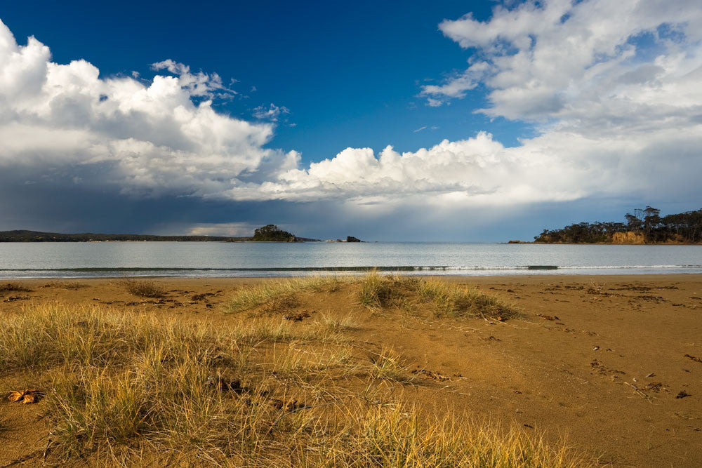 Photo of Corrigans Beach BAT1044 - Gusha
