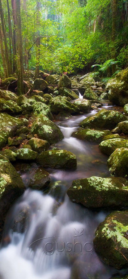 Photo of Minyon Falls National Park BB0309 - Gusha