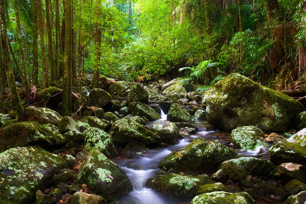 Photo of Minyon Falls National Park BB0858 - Gusha