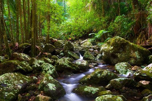 Photo of Minyon Falls National Park BB0858 - Gusha