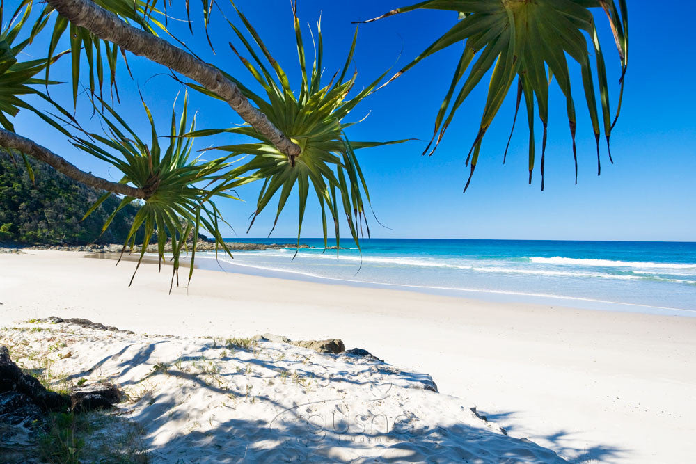 Photo of Broken Head BB0984 - Gusha