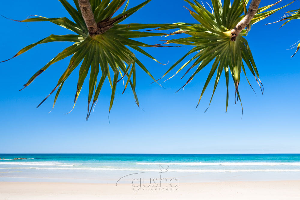 Photo of Pandanus Shade BB1139 - Gusha