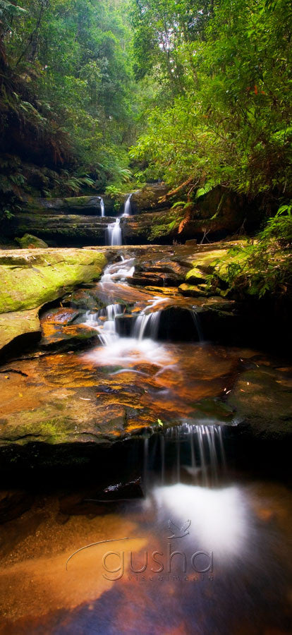 Photo of Blue Mountains BM0288 - Gusha