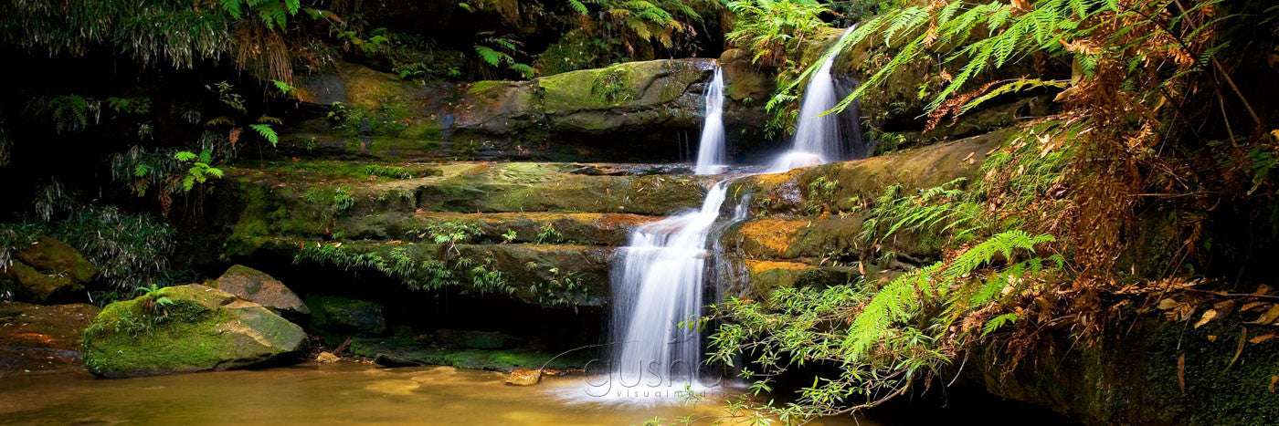 Photo of Blue Mountains BM0292 - Gusha