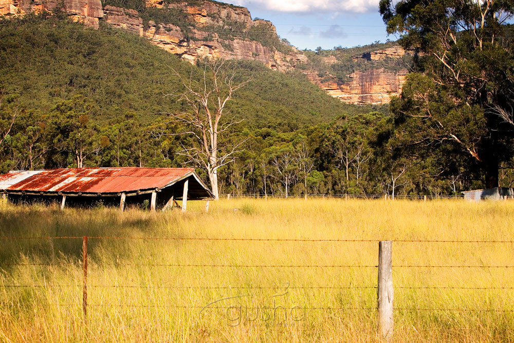 Photo of Megalong Valley BM0334 - Gusha