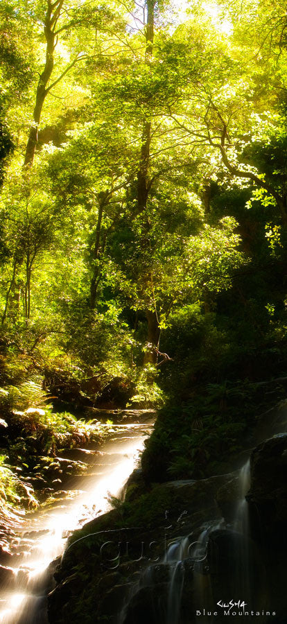 Photo of Valley of Waters BM0339 - Gusha