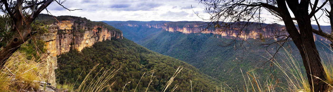 Photo of Grose Valley BM0828 - Gusha
