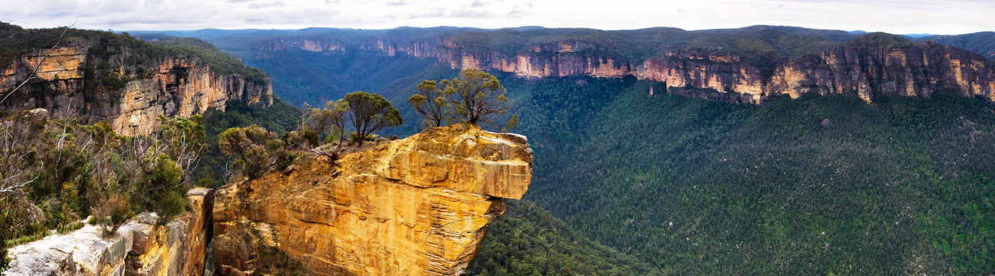 Photo of Grose Valley BM0830 - Gusha
