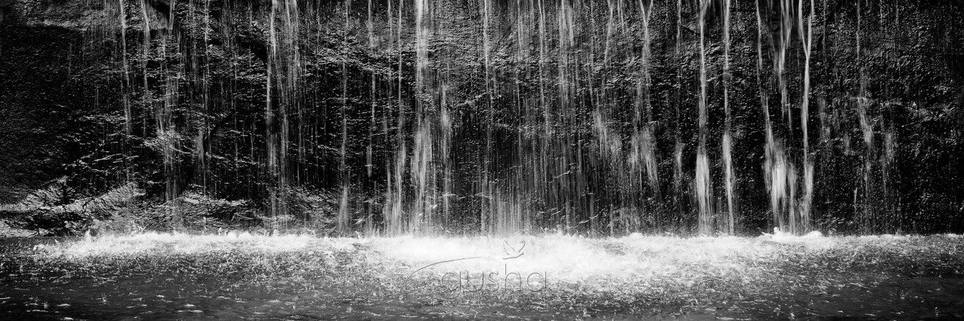 Photo of Blue Mountains BM0833 - Gusha