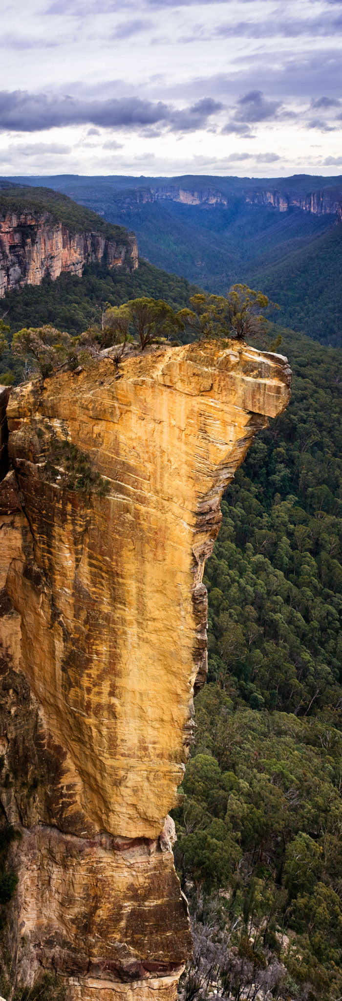 Photo of Grose Valley BM1150 - Gusha