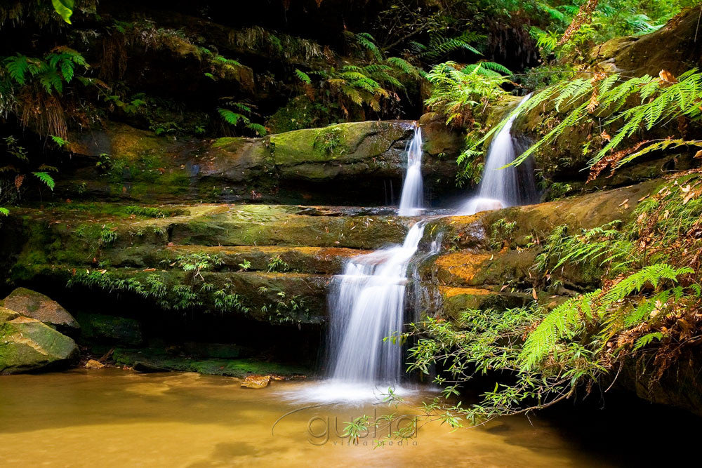 Photo of Blue Mountains BM2286 - Gusha