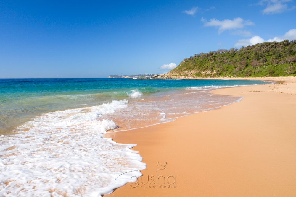 Photo of Forresters Beach CC0478 - Gusha