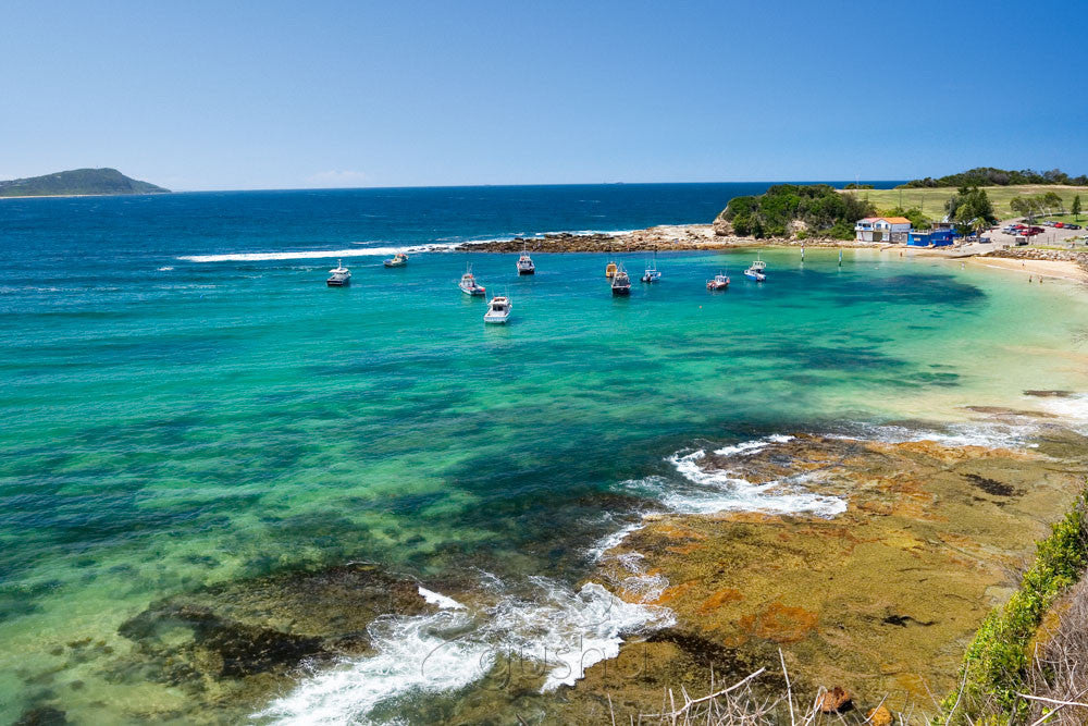 Photo of Terrigal CC0483 - Gusha