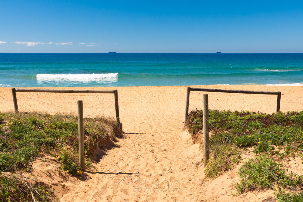 Photo of Avoca Beach CC1346 - Gusha