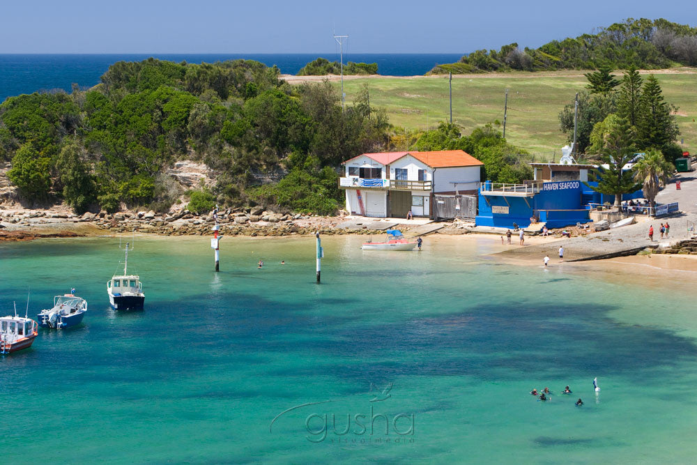 Photo of The Haven CC1349 - Gusha