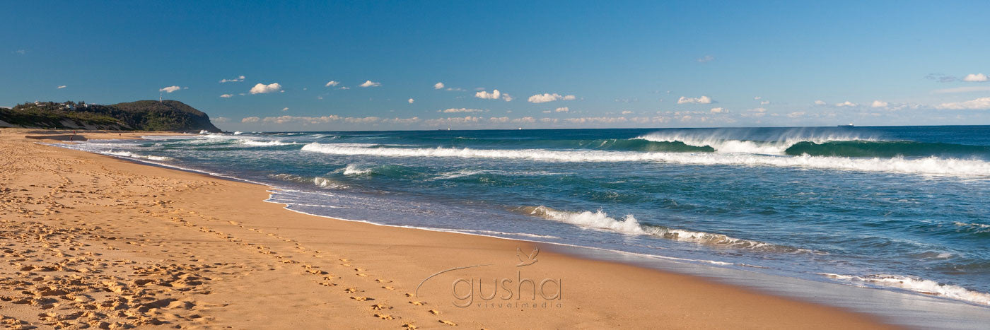 Photo of Wamberal Beach CC1425 - Gusha