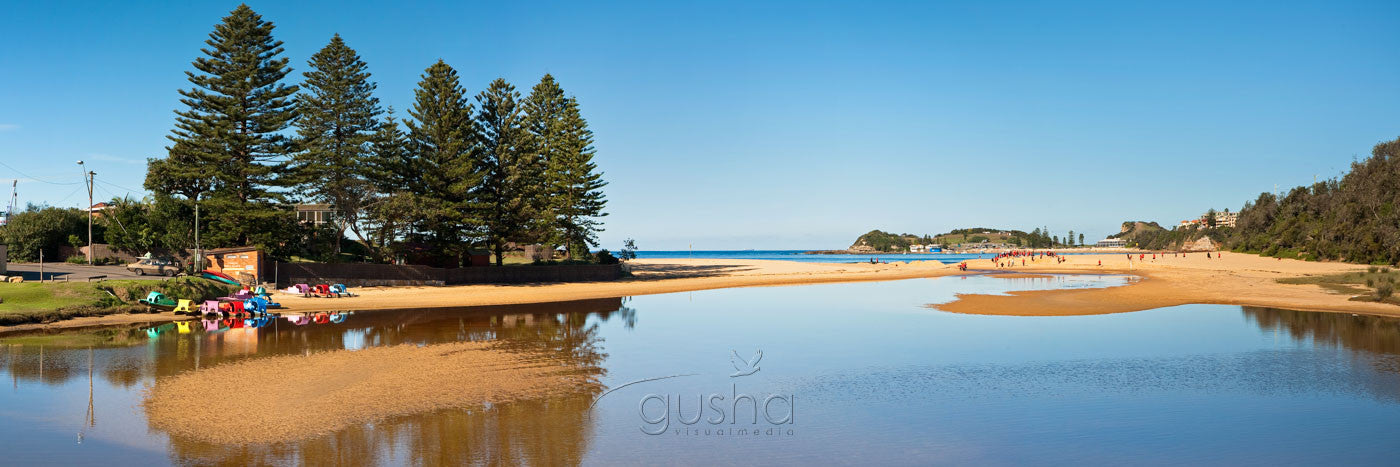 Photo of Terrigal Lagoon CC1449 - Gusha