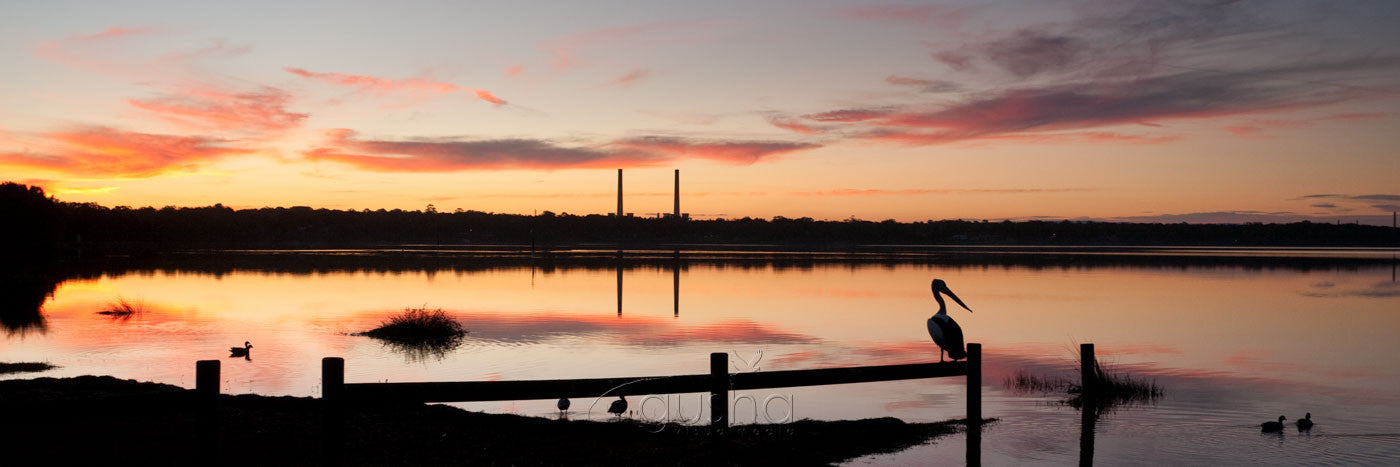 Photo of Lake Munmorah CC1472 - Gusha
