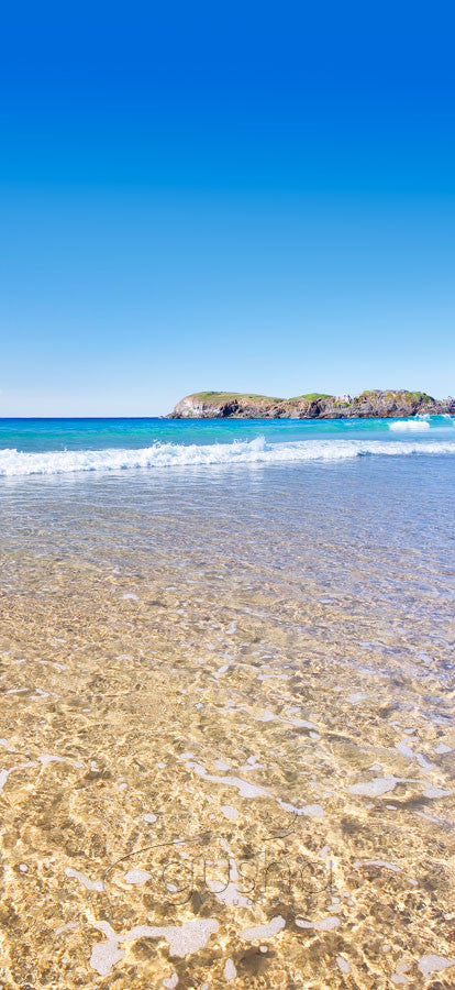 Photo of Delicate Nobby Beach CH0489 - Gusha