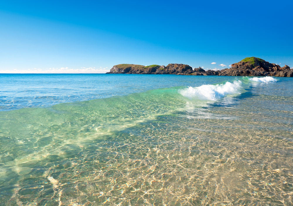 Photo of Delicate Nobby Beach CH1670 - Gusha