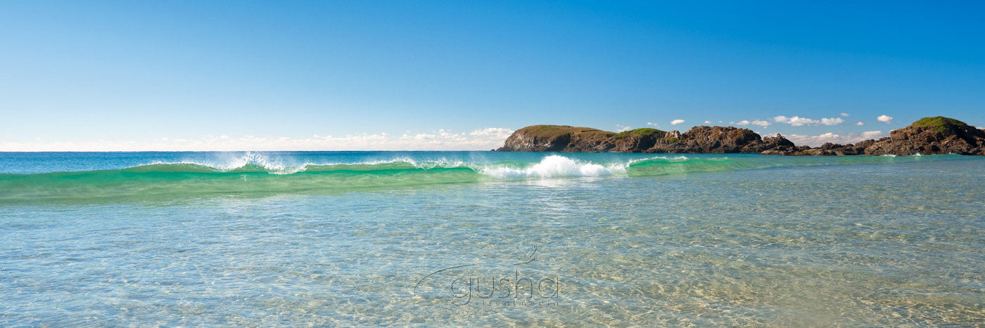 Photo of Delicate Nobby Beach CH1671 - Gusha