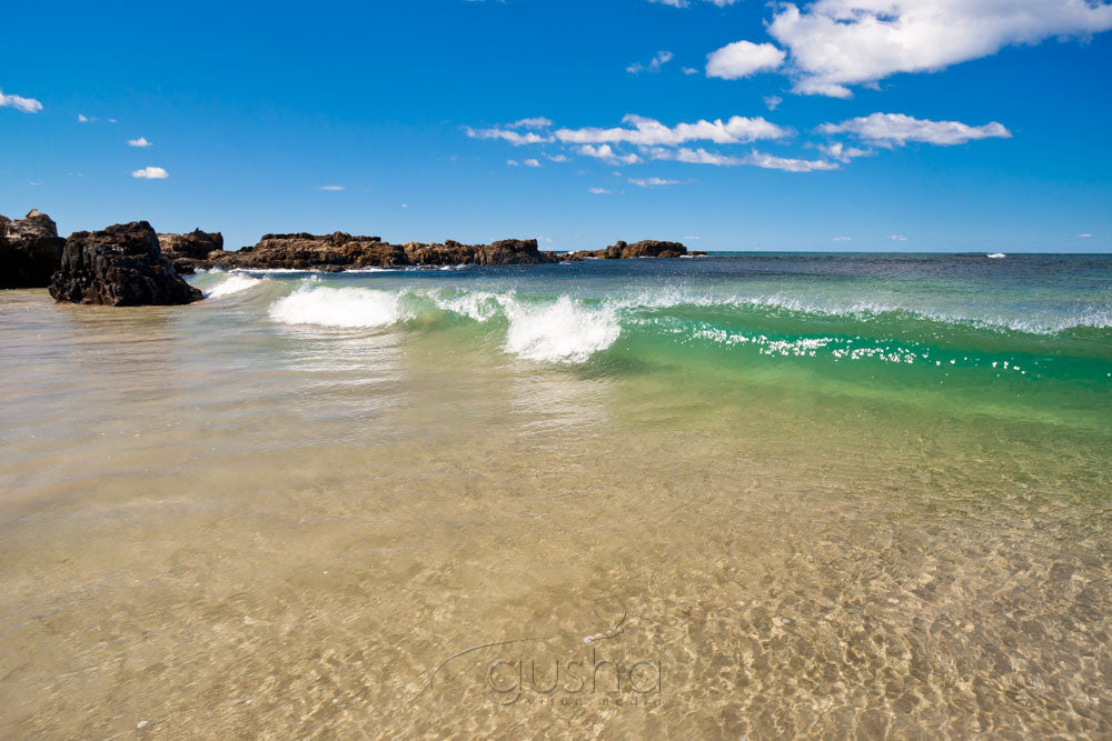 Photo of Korora Bay COF2377 - Gusha