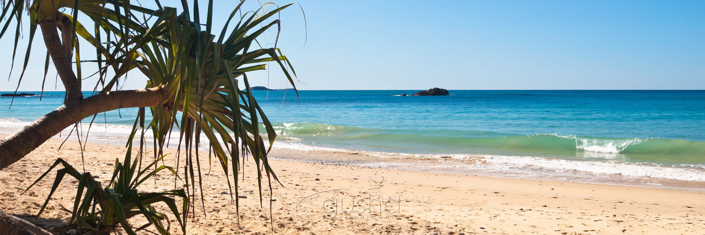 Photo of Korora Bay COF2379 - Gusha