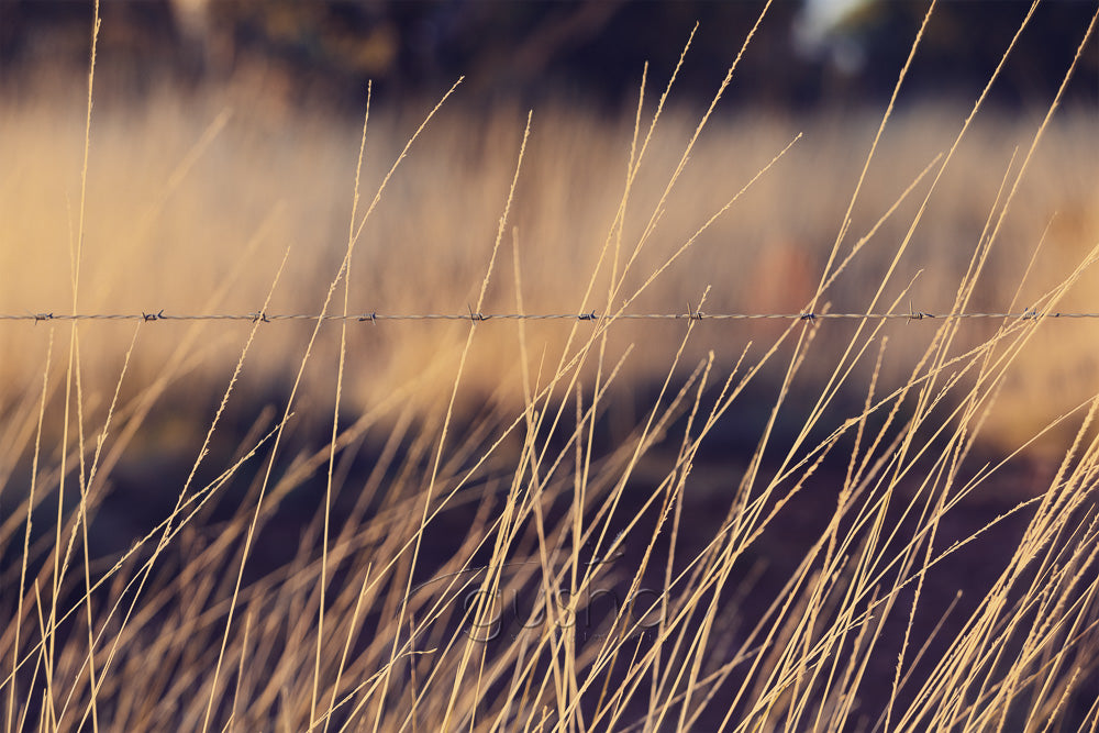 Fullarton River McKinlay Photo