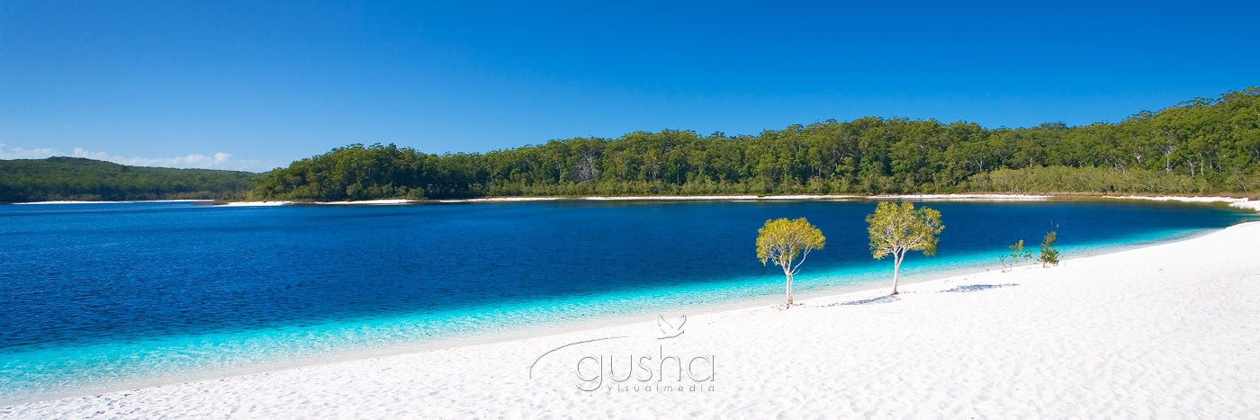 Photo of Lake McKenzie FI0366 - Gusha