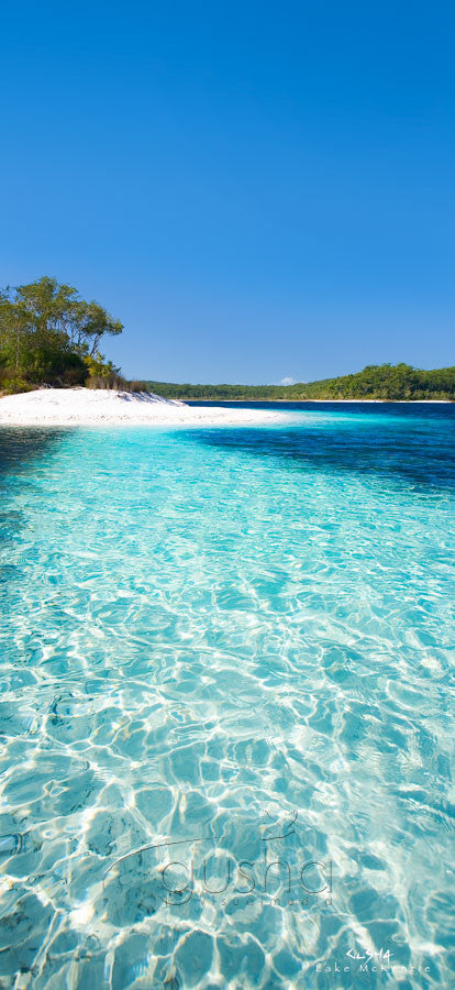 Photo of Lake McKenzie FI0369 - Gusha