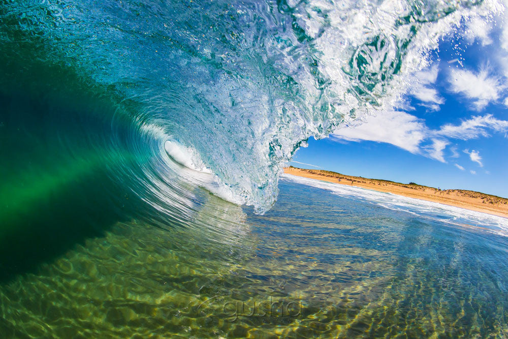 Photo of North Curl Curl FL0001 - Gusha