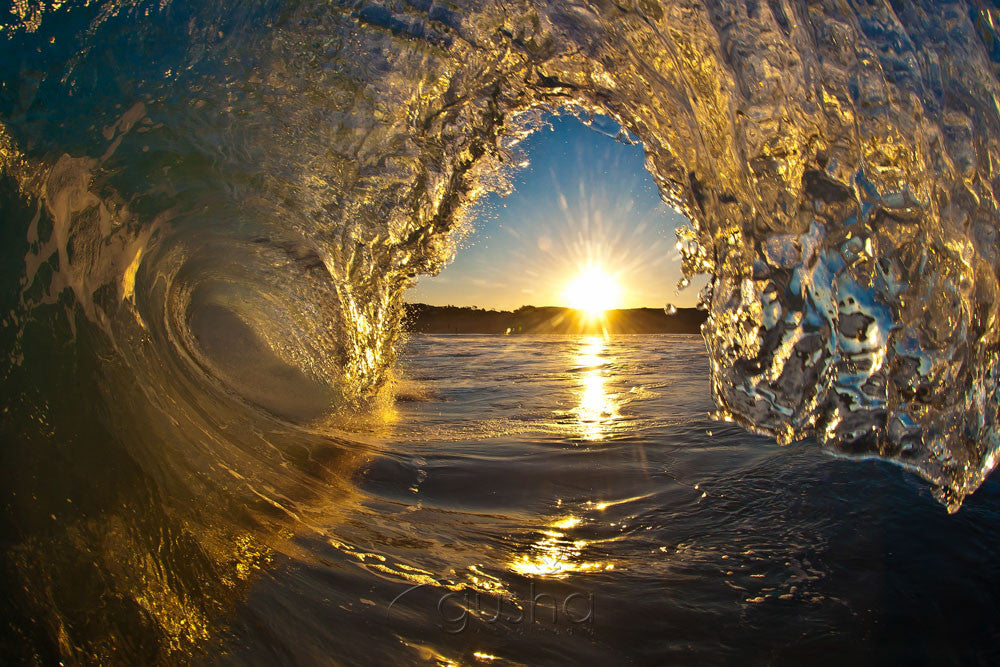 Photo of North Curl Curl FL0005 - Gusha