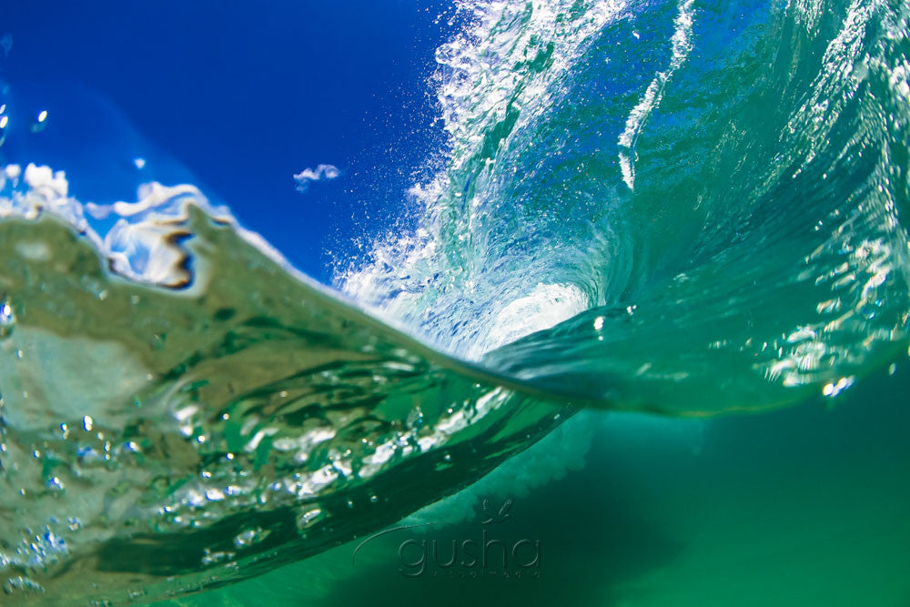 Photo of North Curl Curl FL0008 - Gusha