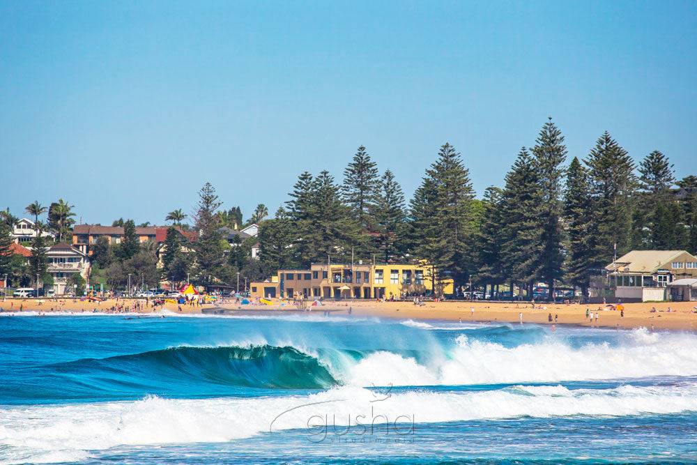 Photo of Collaroy Beach FL0011 - Gusha