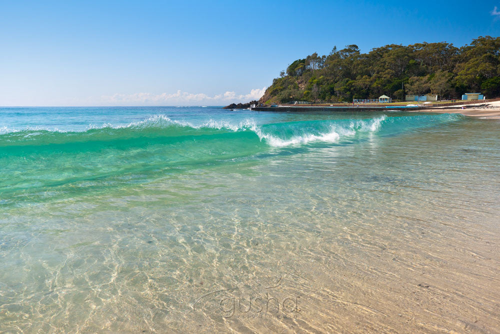 Photo of Forster Beach FO2612 - Gusha